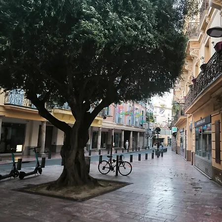 Hébergement de vacances Maison 4 10 Mins De La - Quartier Torcatis Perpignan
